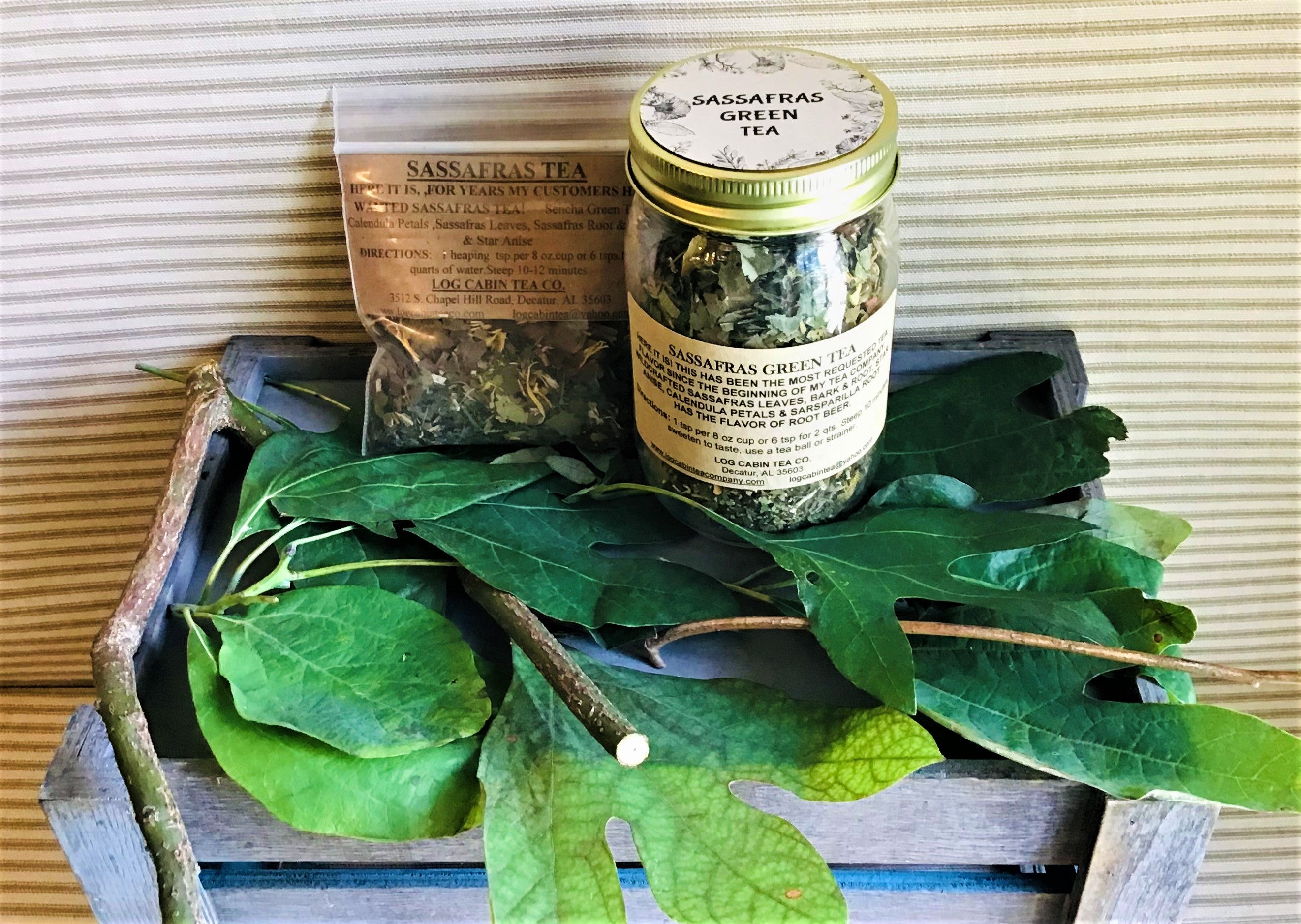 SASSAFRAS ササフラス LEAF PRUNER SHELL BUD Sassafras Green | Log Cabin Tea Company