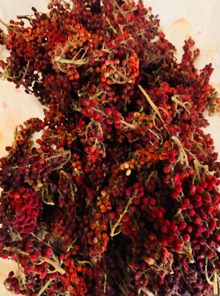 SUMAC BERRY TINCTURE Log Cabin Tea Company